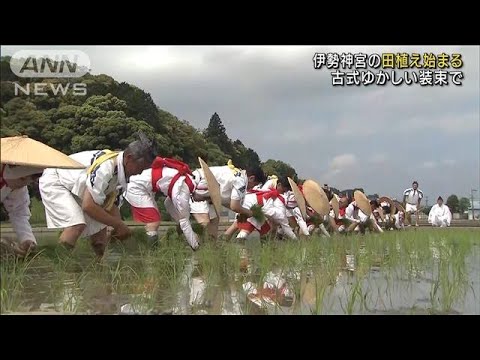 伊勢神宮の田植え始まる　古式ゆかしい装束で(2022年5月7日)