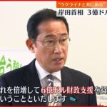 【岸田総理】ウクライナに3億ドルの追加支援「ウクライナと共にある」