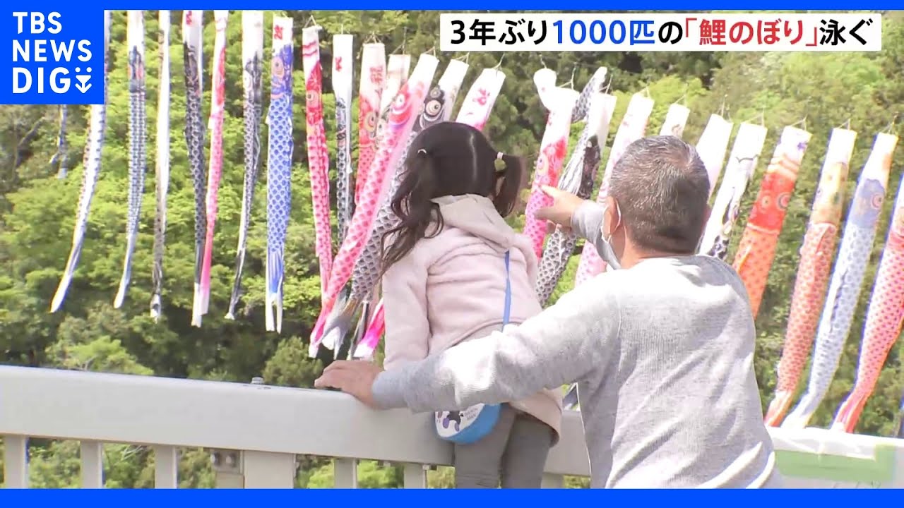 3年ぶり1000匹の「鯉のぼり」泳ぐ 茨城・竜神峡|TBS NEWS DIG