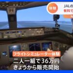 「二人一組で36万円」JALのフライトシミュレーター体験　悪天候や緊急時もリアルに｜TBS NEWS DIG