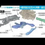 “進化の謎に光”4億年前の化石から判明・・・魚類と両生類の間に生物か(2022年5月26日)