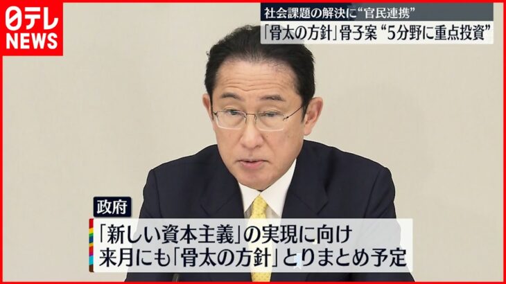 【骨太の方針】5つの分野に重点的に投資…骨子案示す 政府