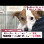 犬猫に“マイクロチップ義務化”6月から　課題は？(2022年5月29日)