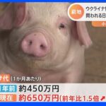 エサ代は約650万円／月に高騰 問われる日本の「食の安全保障」超値上げラッシュで農家が悲鳴｜TBS NEWS DIG