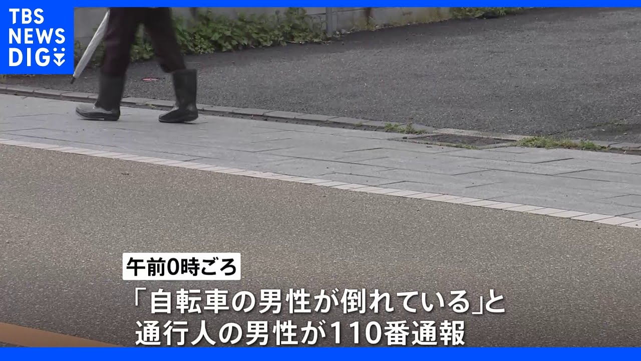 埼玉・蕨市でひき逃げ事件&nbsp;72歳男性が意識不明の重体｜TBS&nbsp;NEWS&nbsp;DIG