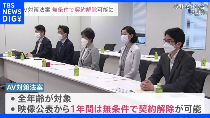 AV出演被害防止・救済法案 与野党でまとまる 年齢問わず「無条件」の契約解除が可能に｜TBS NEWS DIG