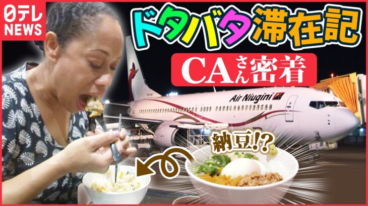 【空港】飛行機では見られない…外国人CA日本滞在に密着!納豆に初トライ!?「レアな航空会社」