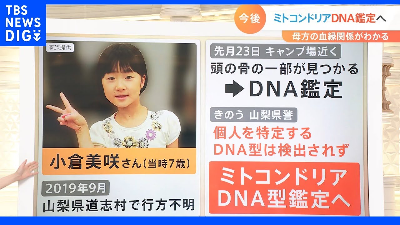 ミトコンドリアDNA型鑑定とは?母方の血縁関係がわかる DNA鑑定とミトコンドリアDNA型鑑定の違いを解説【Nスタ】|TBS NEWS DIG