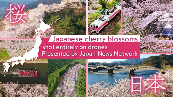 【Drone Film】★Japanese cherry blossoms ★ shot entirely on drones　【JNN sakura drone DIG総集編】