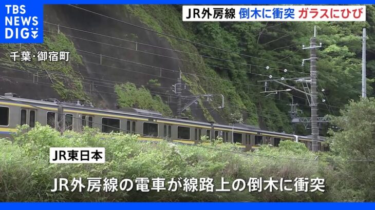 JR外房線 電車が倒木に衝突 一部区間で運転見合わせ｜TBS NEWS DIG