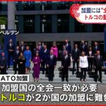 【ウクライナ侵攻】NATO加盟への動き北欧で加速 対ロシアで結束