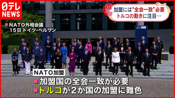 【ウクライナ侵攻】NATO加盟への動き北欧で加速 対ロシアで結束