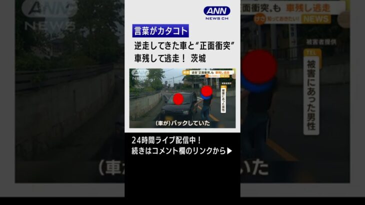 【瞬間】逆走で正面衝突…車残して逃走　茨城　#shorts