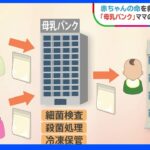 【SDGs】ママたちの助け合い　「母乳バンク」赤ちゃんを救う｜TBS NEWS DIG