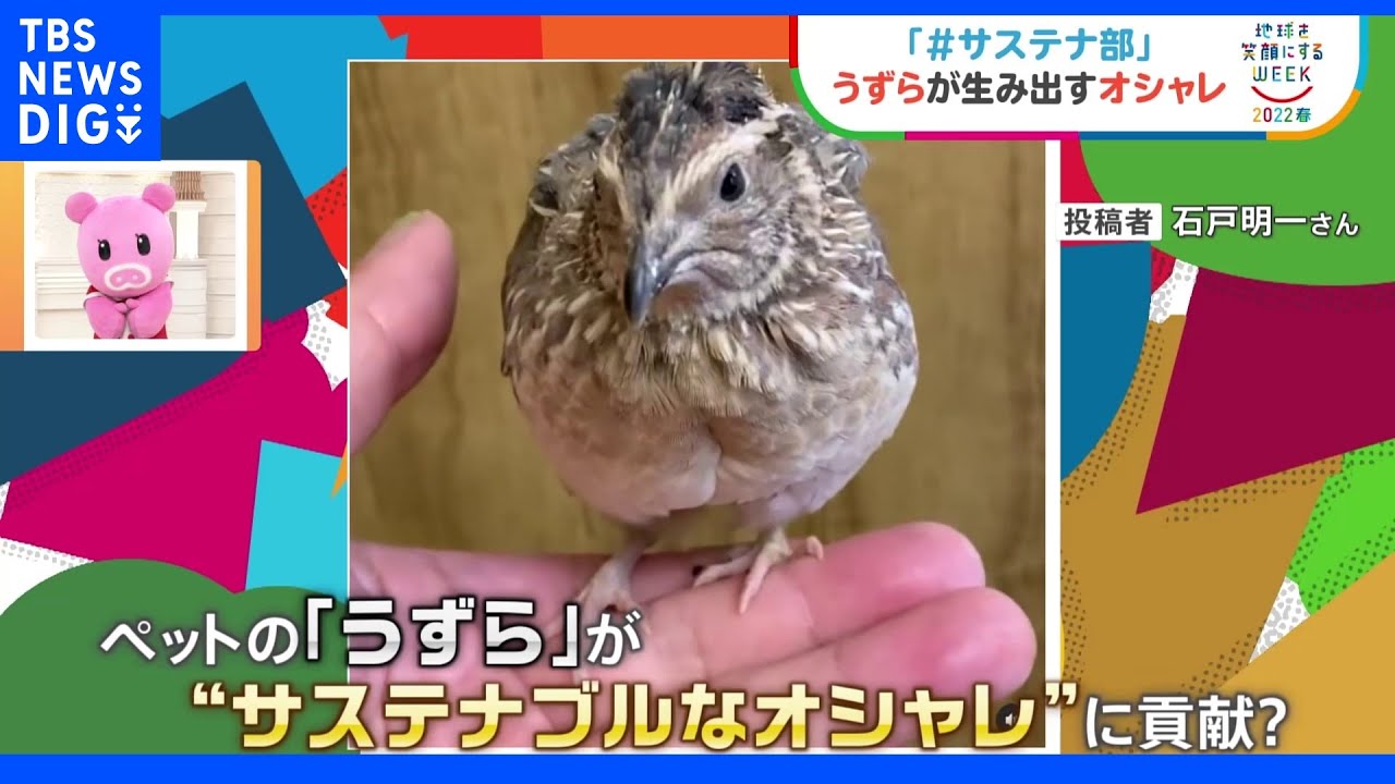 【#サステナ部】教えて!“わたしのSDGs” 【Nスタ】|TBS NEWS DIG