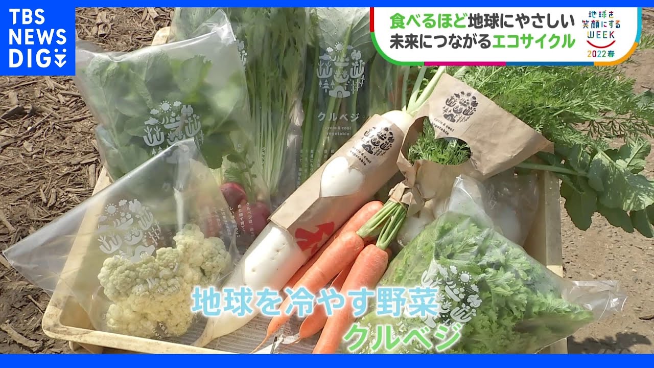 『地球を冷やす野菜～クルベジ～』【SUNトピ】｜TBS&nbsp;NEWS&nbsp;DIG