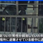 牛舎で火事 肉牛逃げる ２頭は捕獲｜TBS NEWS DIG