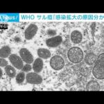 WHO　サル痘「感染拡大の原因分からず」(2022年5月28日)