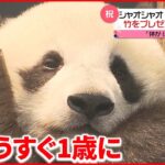 【今日の1日】東京都心は真夏日に 上野動物園で”1歳を祝う会”開催