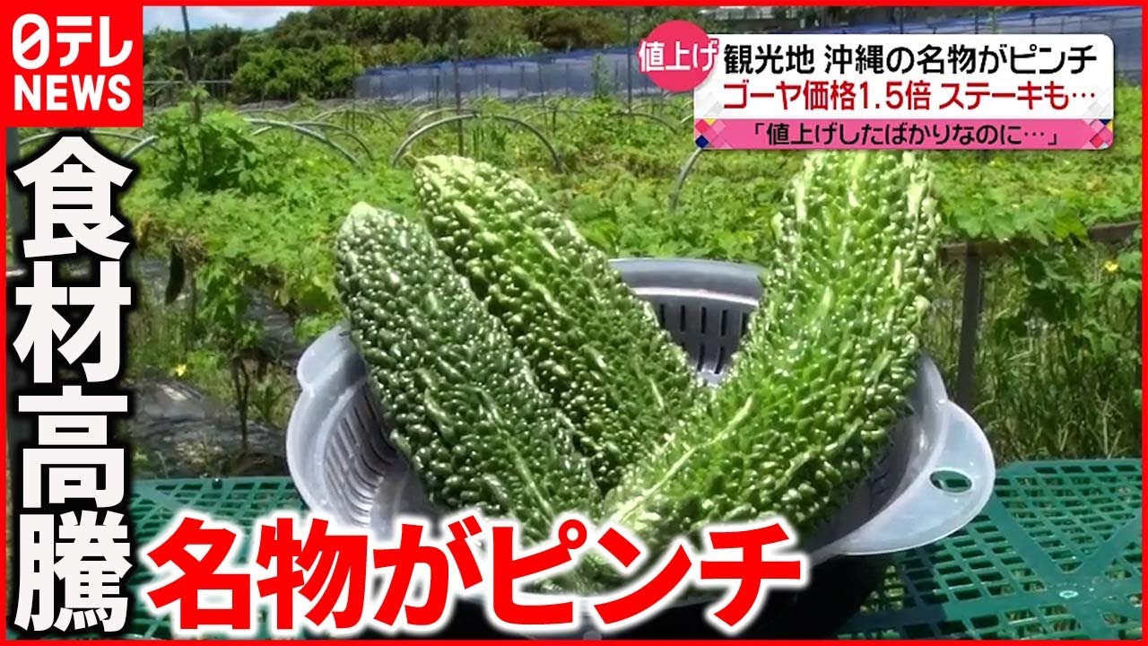 【物価高”直撃”】ゴーヤ価格1.5倍以上に…観光地・沖縄の名物がピンチ