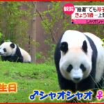 【シャオシャオ＆レイレイ】1歳の誕生日 上野動物園で”長い列”