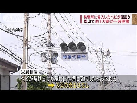 変電所内から焦げたヘビ　1万軒停電の原因か　福島・郡山市(2022年6月29日)