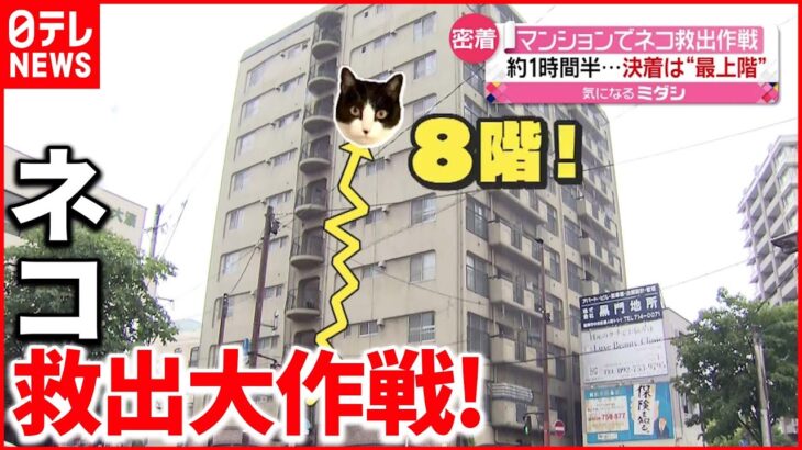 【救出大作戦】10階建てマンションの壁にネコ 絆はより深く…