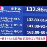 【速報】外国為替市場　一時1ドル＝133円台　20年2カ月ぶりの円安水準(2022年6月7日)