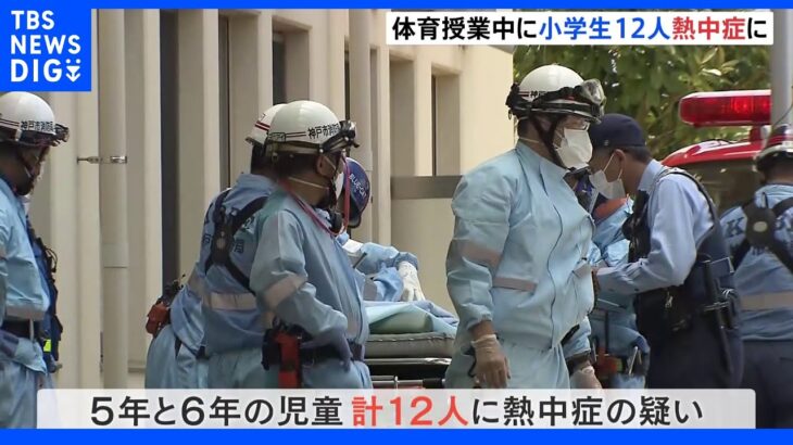 体育の授業中に児童12人が熱中症の症状訴える 6人搬送、1人重症 神戸市内の小学校｜TBS NEWS DIG