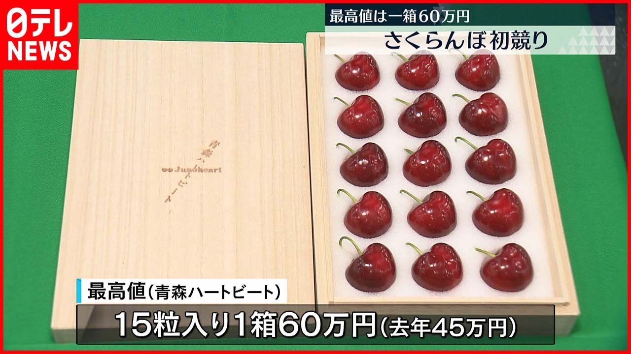 【最高値は1粒4万円】青森県産の高級サクランボ初競り
