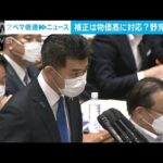 「全然対策取れてない」物価高対策めぐり野党が岸田総理を追及(2022年6月1日)