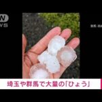 【速報】埼玉や群馬で大量の「ひょう」強風で傘壊れる(2022年6月2日)