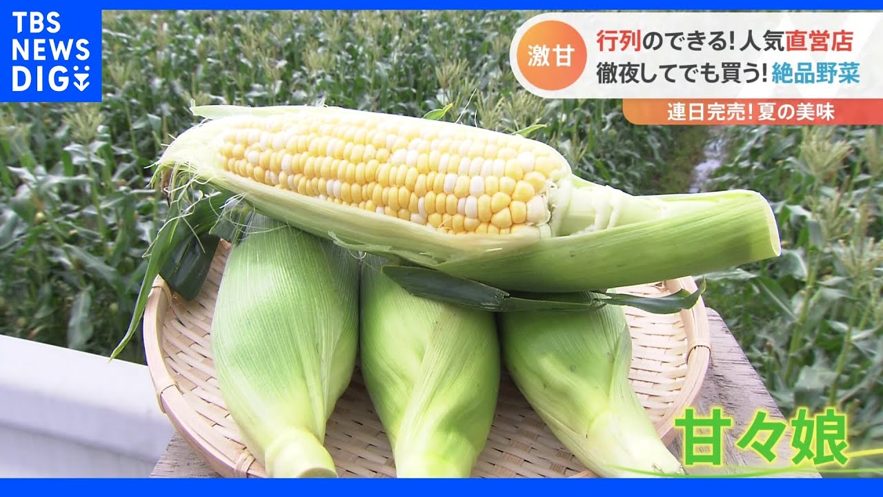 行列のできる人気直営店！静岡発究極のトウモロコシ。神奈川県の平塚漁港周辺では獲れたての刺身やサバのラーメンも！｜TBS&nbsp;NEWS&nbsp;DIG