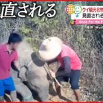 【タイ】観光名物「ゾウ乗り」中止も… 問題視された“ゾウの調教”