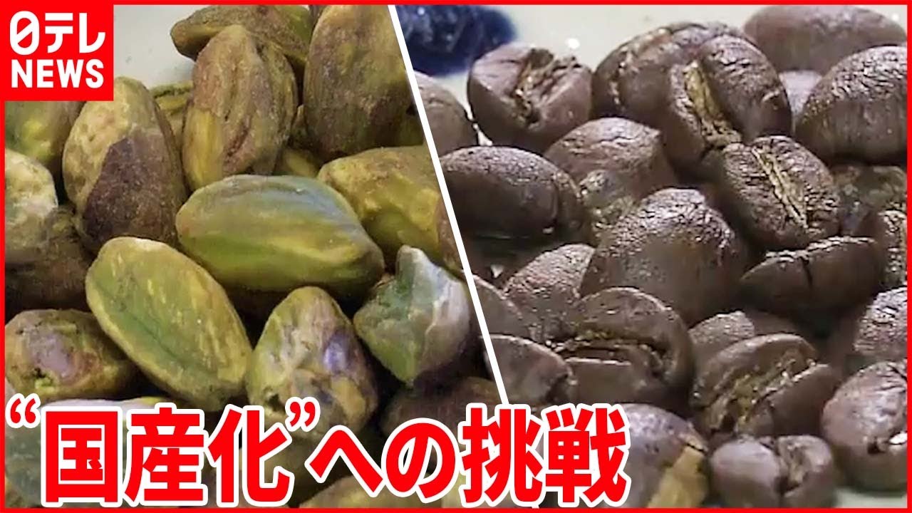 【シフトチェンジ】進む食品の“国産化” ピスタチオにコーヒー…アボカドも