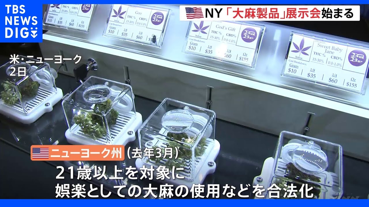 “娯楽用での使用が合法化”の米・ニューヨーク州　大麻製品の展示会を開催｜TBS&nbsp;NEWS&nbsp;DIG