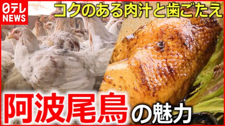 【徳島ブランド地鶏】コクのある肉汁が美味い！”阿波尾鶏”の魅力とは　NNNセレクション