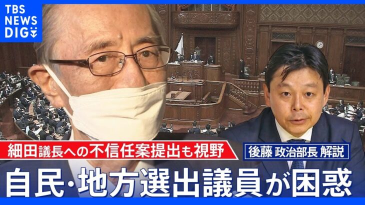 細田議長の“セクハラ疑惑”で自民党地方選出議員が“焦り”【後藤部長のリアルポリティクス】｜TBS NEWS DIG