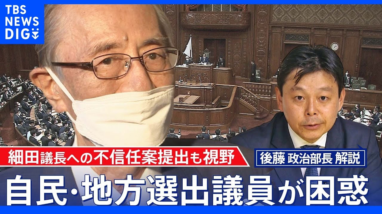細田議長の“セクハラ疑惑”で自民党地方選出議員が“焦り”【後藤部長のリアルポリティクス】｜TBS&nbsp;NEWS&nbsp;DIG