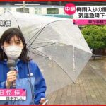 【中継】関東甲信地方で梅雨入り　強い風も　夜にかけて雨が降り続く見込み