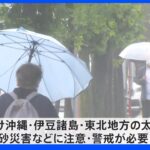 あじさいが見頃の季節に･･･関東甲信地方が“梅雨入り”東京は季節逆戻りで「肌寒い」一日に｜TBS NEWS DIG