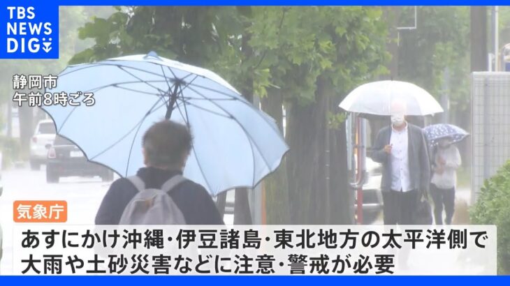 あじさいが見頃の季節に･･･関東甲信地方が“梅雨入り”東京は季節逆戻りで「肌寒い」一日に｜TBS NEWS DIG