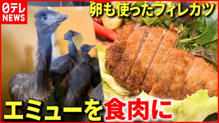 【エミュー】実はすごく美味しい⁉︎ 飼育＆料理で地域活性化へ　徳島　NNNセレクション