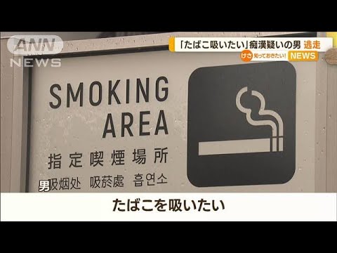 「たばこ吸いたい」“痴漢疑い”男　喫煙所から逃走(2022年6月7日)