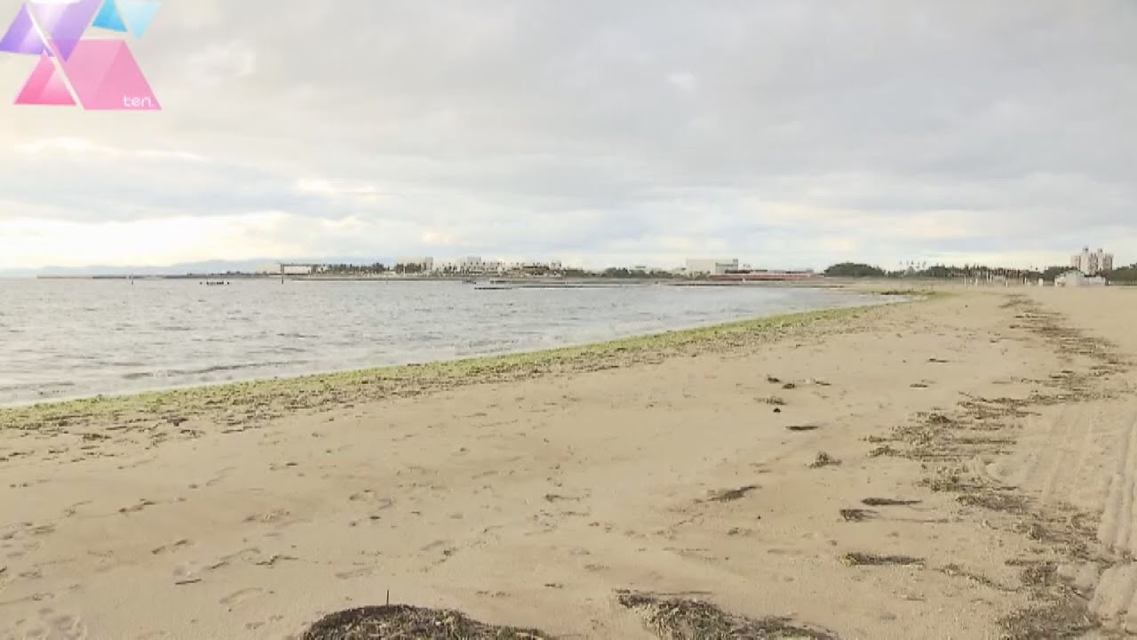 大阪府内の全ての海水浴場　ことしも開場せず　３年連続　兵庫県と対応分かれる