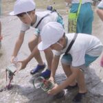 小学生たちがヒラメの稚魚約１０００匹を放流　魚を増やすことの大切さを学ぶ　和歌山・那智勝浦
