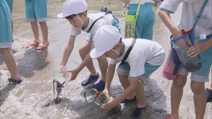 小学生たちがヒラメの稚魚約１０００匹を放流　魚を増やすことの大切さを学ぶ　和歌山・那智勝浦