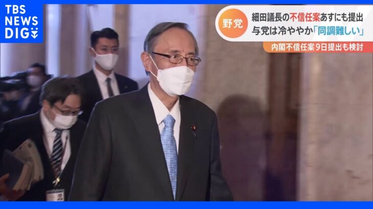 細田衆院議長への不信任案　８日にも提出も野党に温度差　与党は冷ややか｜TBS NEWS DIG