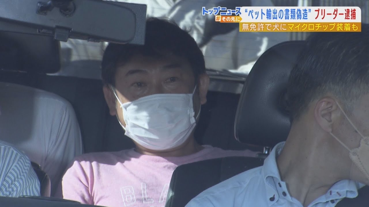 “コメント多く”実績のブリーダー　柴犬の輸出で書類偽装か…７年前取材で見せた素顔（2022年6月7日）