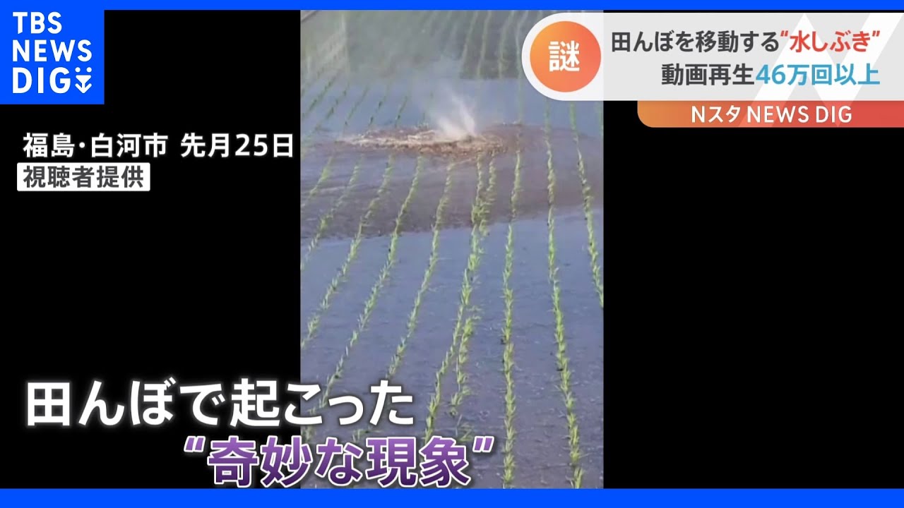 田んぼで“奇妙な現象”に遭遇!まるで風神さま?それとも妖怪?その正体とは?|TBS NEWS DIG